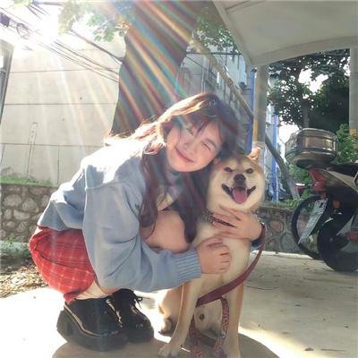 杀人执照 (1984年电影)